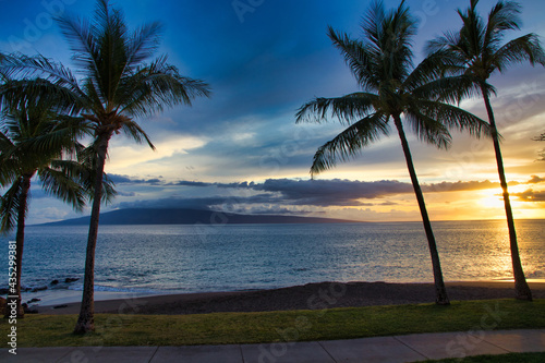 Evening view of palm t5rees and Lanai as seen from Maui.