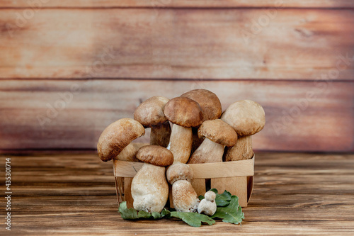 Mushroom Boletus over Wooden Background. Autumn Cep Mushrooms. Ceps Boletus edulis over Wooden Background, close up on wood rustic table. Cooking delicious organic mushroom. Gourmet food