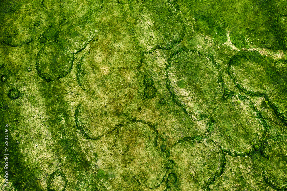 Obraz premium Green fields from above
