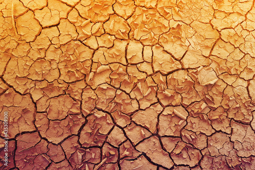 dry crack ground desert or soil dry crack texture