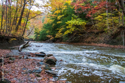 River in autumn forest