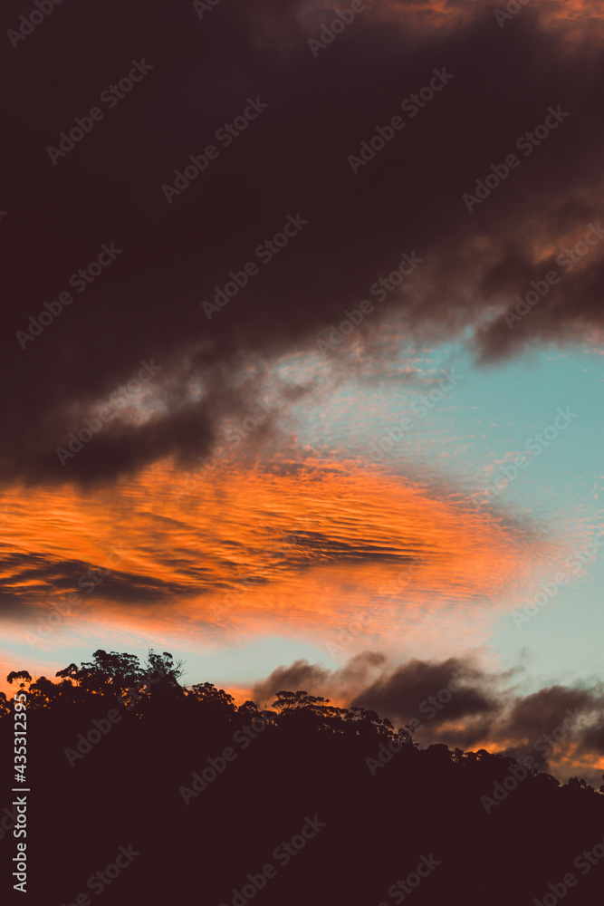 beautiful intense sunset sky with pink and golden tones over the mountains and eucalyptus gum trees beautiful intense sunset sky with pink and golden tones over the mountains and eucalyptus gum trees