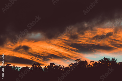 beautiful intense sunset sky with pink and golden tones over the mountains and eucalyptus gum trees