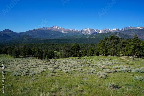 Meadow and forest at Rocky Mountain National Park, Colorado, USA. 