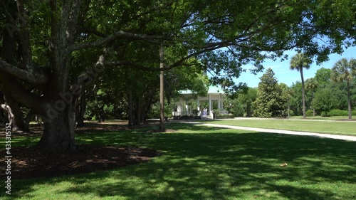 Walking in a park with recently bloomed plants. photo