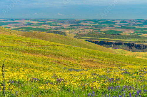 Columbia Hills Historical State Park, Washington photo