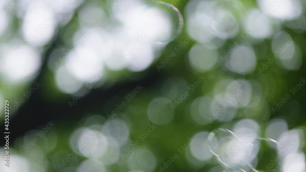 soap bubbles on forest background, summer holiday theme soap bubbles on forest background, summer holiday theme