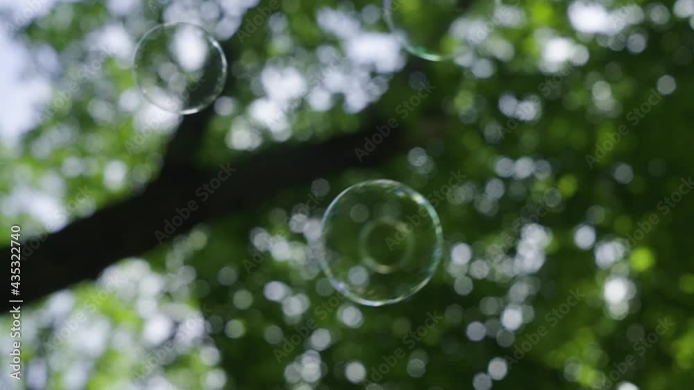 soap bubbles on forest background, summer holiday theme soap bubbles on forest background, summer holiday theme