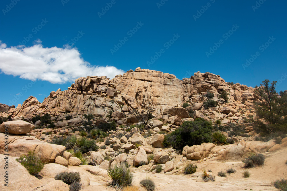 Large Rocky Outcrop in Joshua Tree National Park