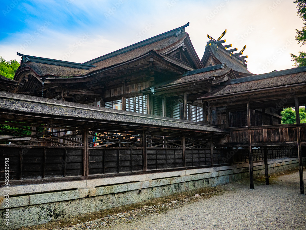 Fototapeta premium 新緑の神社