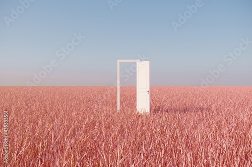 Outstanding White door open on pink grass filed landscape with sky background. Minimal idea concept. 3D Render. © HappyAprilBoy