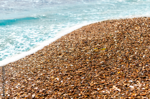 Background of brown sea pebbles with parts of white seashells