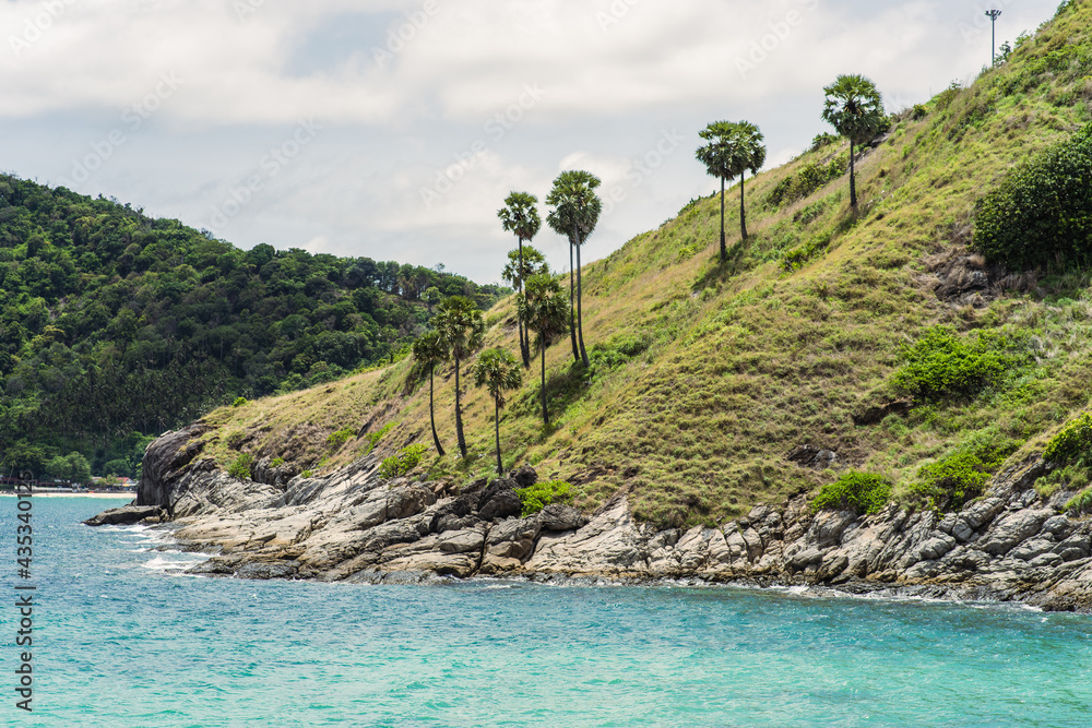 Obraz premium Green hill with tall palm trees and rocky shore, in sunny weather with waves. Tropical landscape with palm tree.
