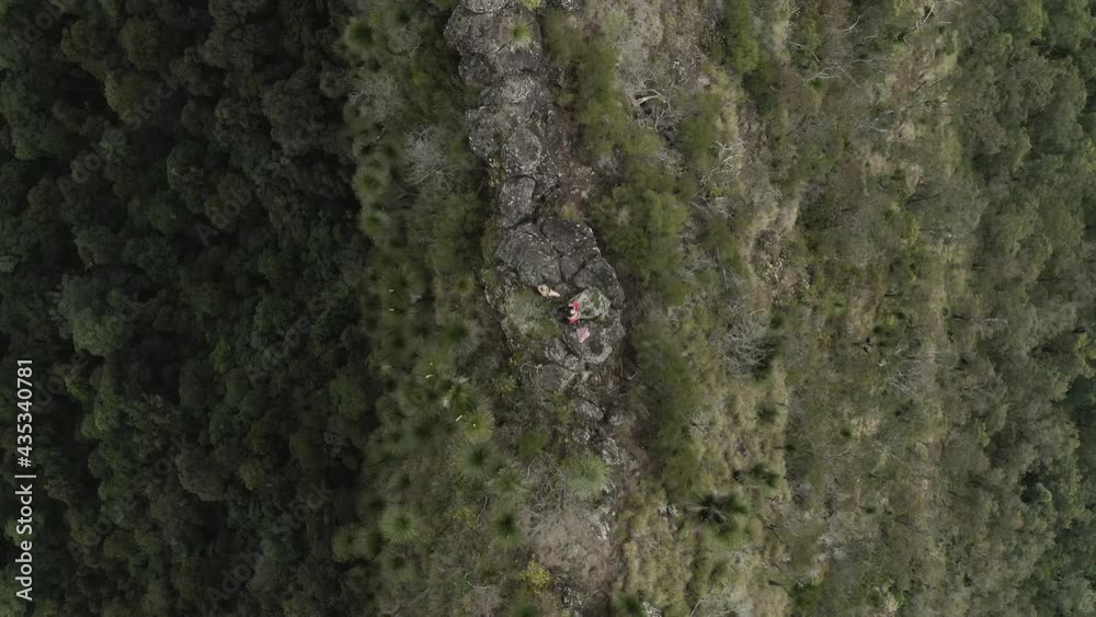 4K drone top view of a people standing on a vantage point, viewpoint, overlook on a mountain at Border Ranges National Park, New South Wales Australia. Drone zoom out above colorful texture in nature. 4K drone top view of a people standing on a vantage point, viewpoint, overlook on a mountain at Border Ranges National Park, New South Wales Australia. Drone zoom out above colorful texture in nature.