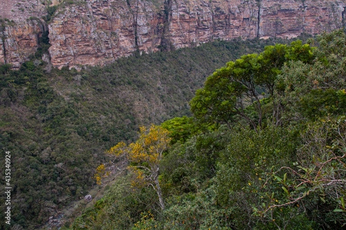 Deep Tree-Lined Valley with Steep Rocky Sides