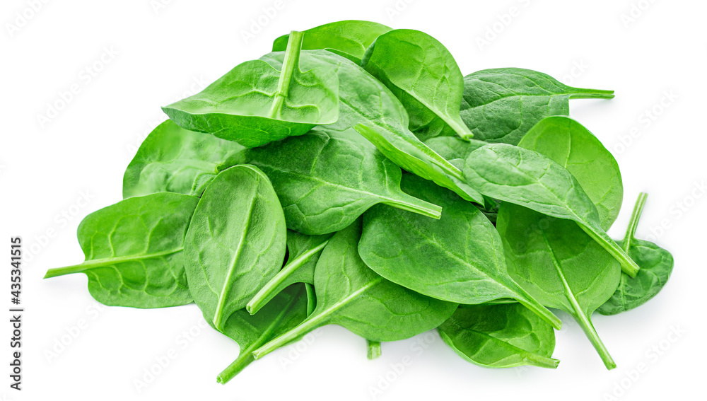 Spinach leaves isolated on white background. Various Spinach leaf Macro. Top view. Flat lay.. Spinach leaves isolated on white background. Various Spinach leaf Macro. Top view. Flat lay..