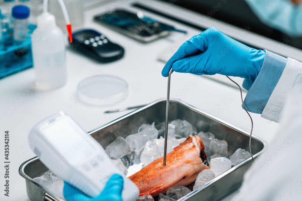 Food Quality Control Inspection of Sea Fish - Measuring Concentrations ...