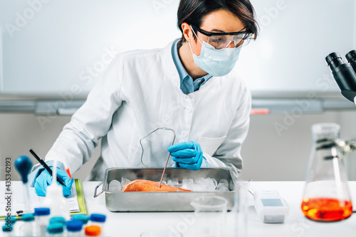 Food Safety Inspector Measuring Concentrations of Lead, Mercury and Cadmium in Sea Fish photo