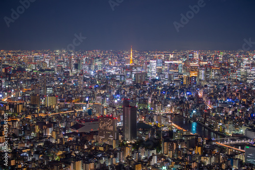 Tokyo city skyline at night. © Jirawatfoto