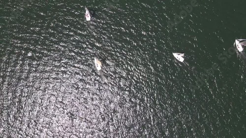 AERIAL - Sailboats during a regatta in Lake Vichuquen, Chile, wide shot top down photo