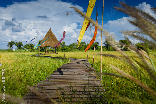 wooden bridge over the Cornfield 