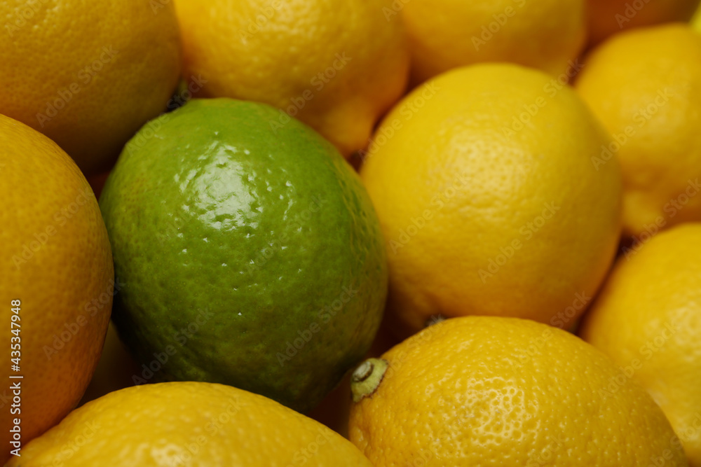 Ripe lemons and lime, close up and selective focus Ripe lemons and lime, close up and selective focus