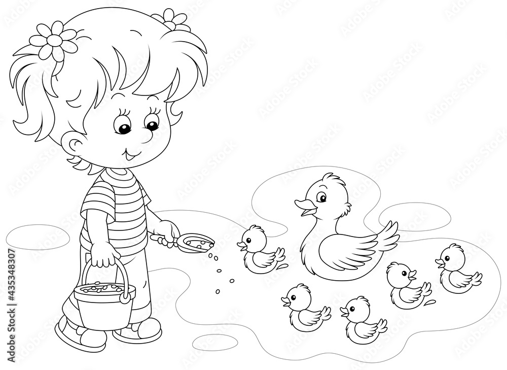 Little girl farmer standing with a bucket of feed grain and feeding a merry brood of small ducklings and a cute duck on a pond in a village, black and white vector cartoon illustration Little girl farmer standing with a bucket of feed grain and feeding a merry brood of small ducklings and a cute duck on a pond in a village, black and white vector cartoon illustration