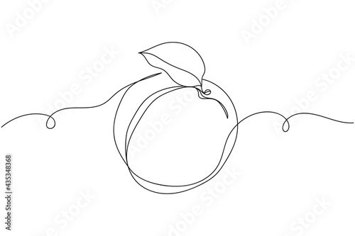 Continuous one line of single fresh apricot in silhouette. Linear stylized.Minimalist.