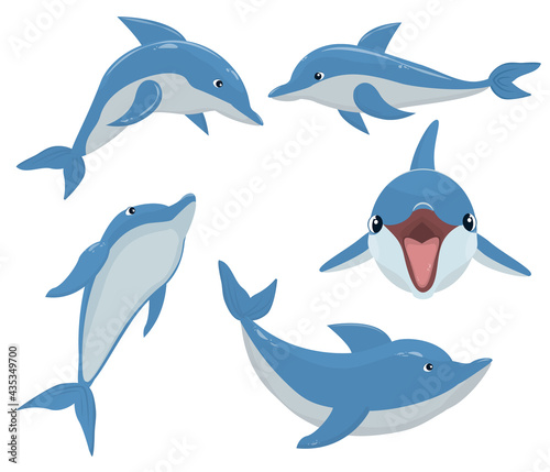 set of vector illustrations with dolphins isolated on a white background