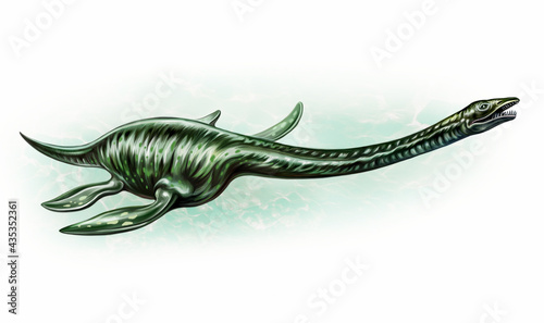 Plesiosaur  Plesiosauria 