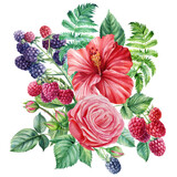 Watercolor floral elements. Raspberry, blackberry, rose and hibiscus flowers, botanical illustration