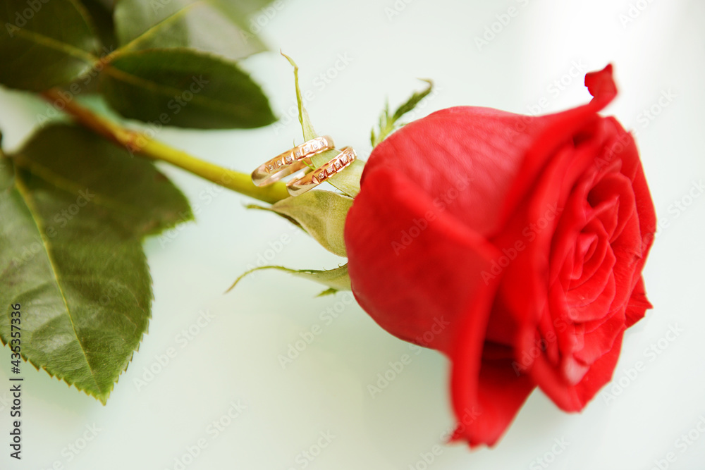 Two gold wedding rings on a red rose petal.