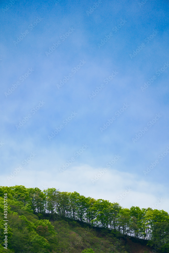 深呼吸したくなる高い高い青空と波のような山の稜線に整列している新緑の葉をもつ木々 深呼吸したくなる高い高い青空と波のような山の稜線に整列している新緑の葉をもつ木々
