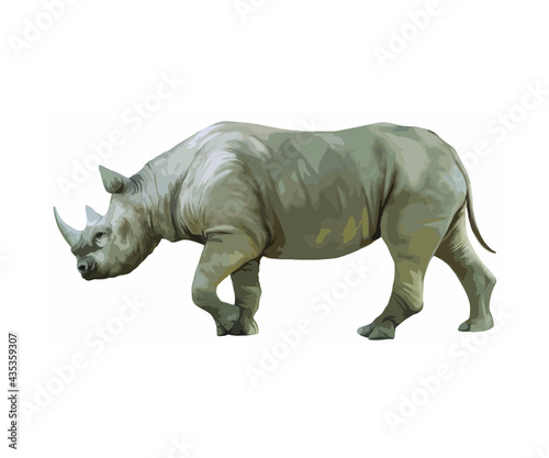 Vector illustration of a rhino with white background.