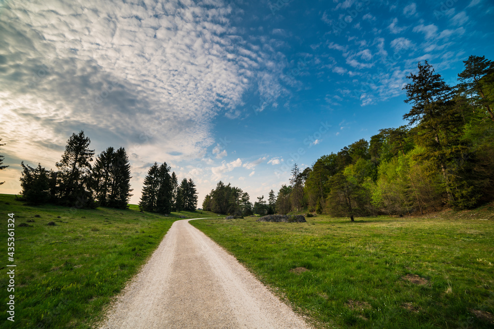 Germany, Curved hiking trail alongside ancient rock formations of wental at hohenstein on the swabian alb