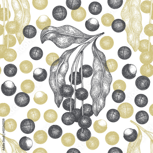 Hand drawn macadamia branch and kernels seamless pattern. Organic food vector illustration on white background. Retro nut illustration. Engraved style botanical background.