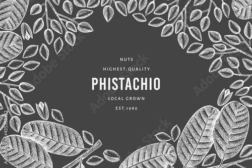 Hand drawn phistachio branch and kernels design template. Organic food vector illustration on chalk board. Retro nut illustration. Engraved style botanical banner.