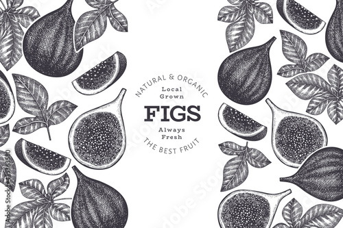 Hand drawn fig fruits design template. Organic fresh food vector illustration. Retro fig fruit banner.
