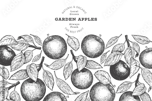 Apple branch design template. Hand drawn vector garden fruit illustration. Engraved style fruit retro botanical banner.
