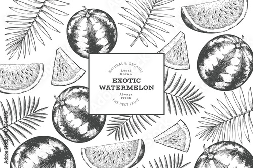 Watermelon and tropical leaves design template. Hand drawn vector exotic fruit illustration. Engraved style fruit frame. Retro botanical banner.