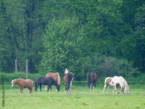 Wildpark und Natur im westlichen Münsterland