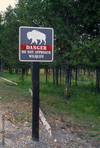 route, panneau routier, passage de bison, Bison d'Amérique, Bison bison, Parc national du Yellowstone, Etats Unis, USA