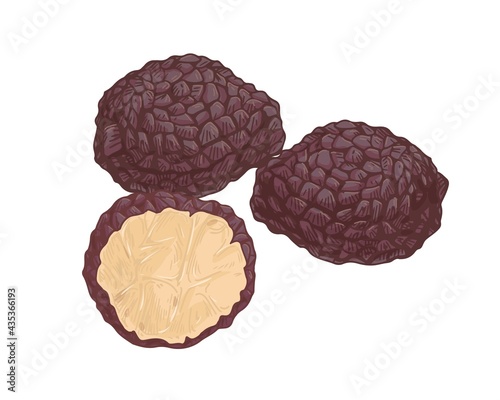 Black truffle composition with whole underground edible mushrooms and cut pie...