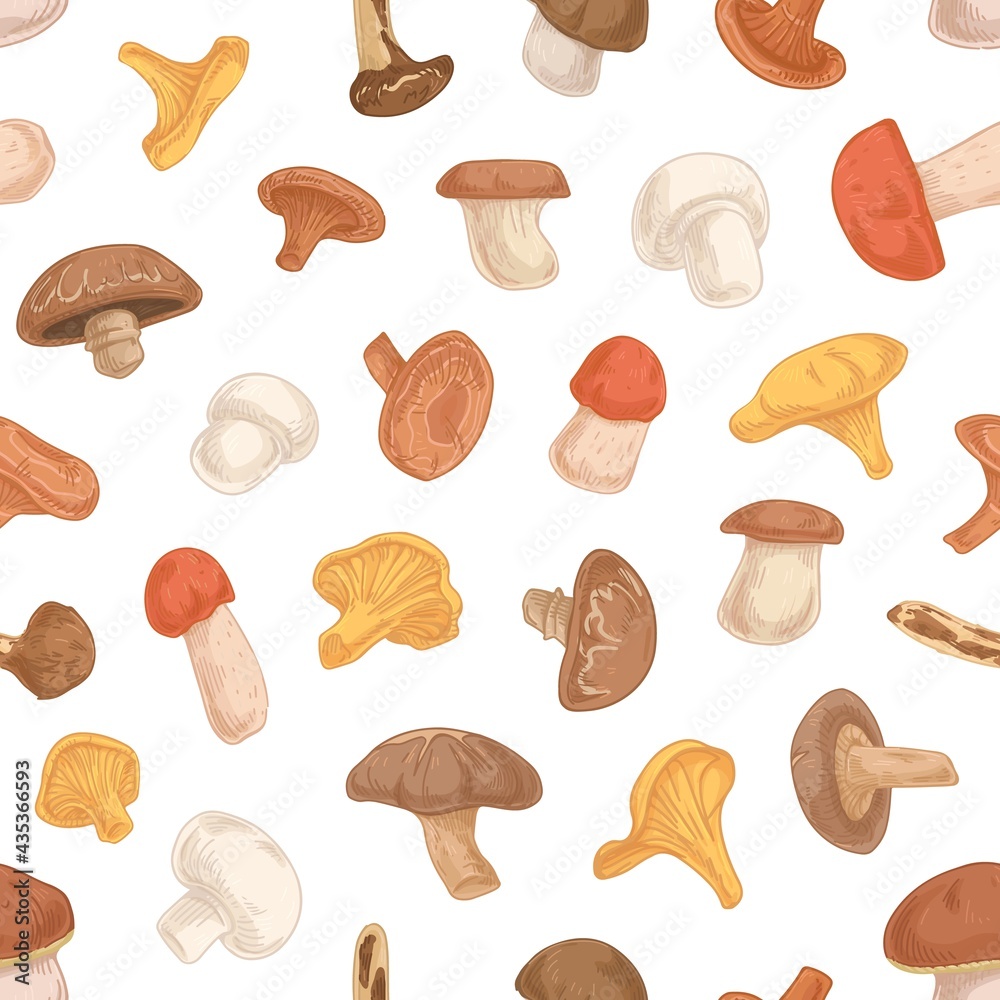 Seamless fungi pattern with different forest mushrooms on white background. Endless repeatable texture with organic natural food drawn in vintage style. Colored vector illustration for printing Seamless fungi pattern with different forest mushrooms on white background. Endless repeatable texture with organic natural food drawn in vintage style. Colored vector illustration for printing