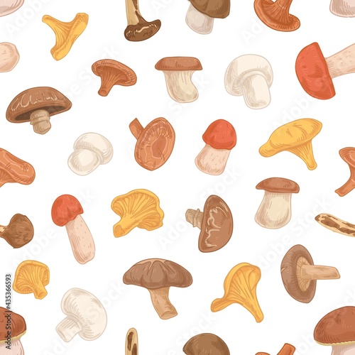Seamless fungi pattern with different forest mushrooms on white background. Endless repeatable texture with organic natural food drawn in vintage style. Colored vector illustration for printing