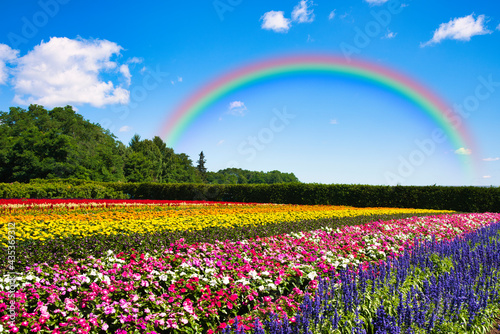 富良野のお花畑