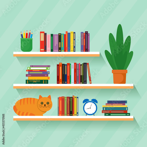 bookshelf with flower, books, alarm clock, crayons and a cat.