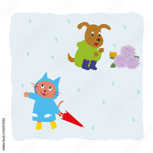 雨の日の犬と猫