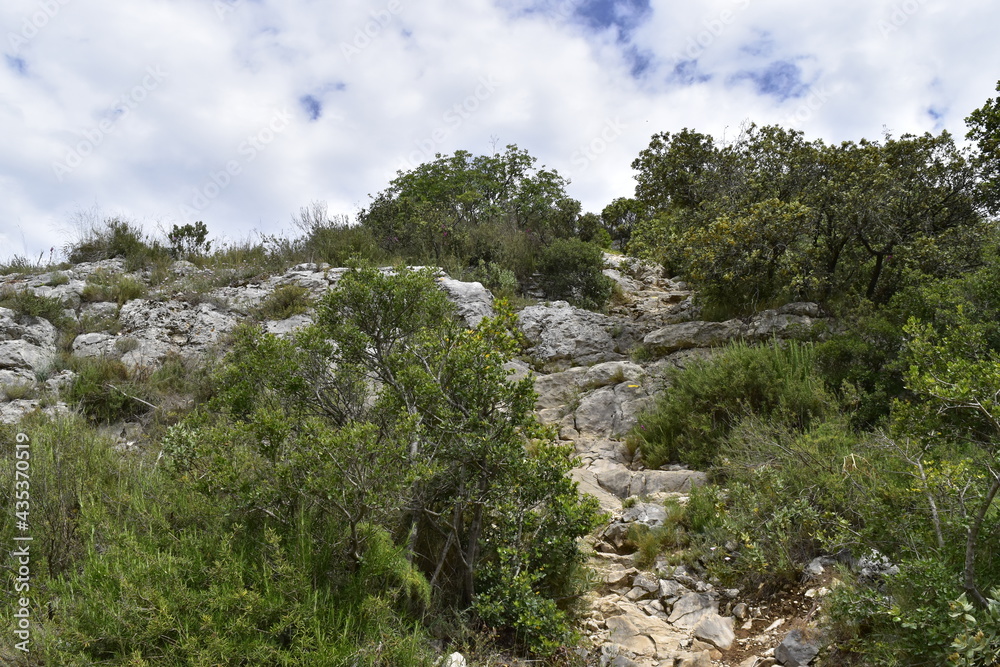 Gorges de Gardon