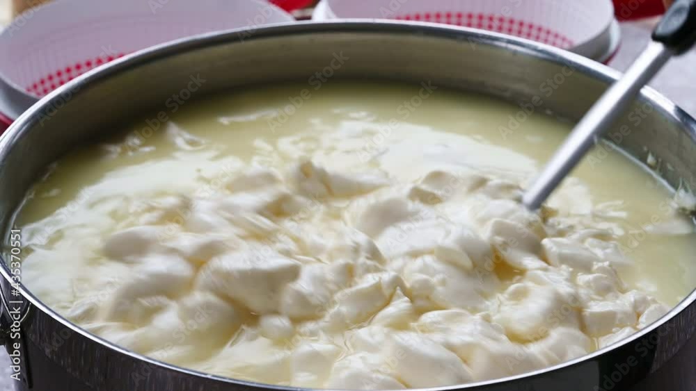 Mixing the cheese mass in a saucepan while making homemade cheese. Fermentation of cheese in sourdough
Mixing the cheese mass in a saucepan while making homemade cheese. Fermentation of cheese in sourdough